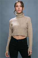 Soft crop turtle neck